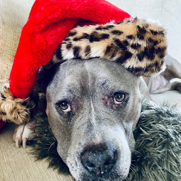 FOR @christinecrees  LOUIS VUITTON Vintage Wallet Cash/Travelers Checks/Cards - Picture 14 of 14